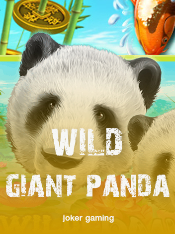 Wild Giant Panda-xo369